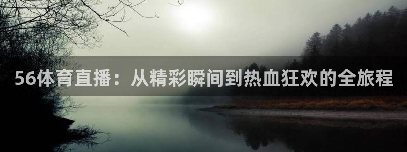 56体育直播：从精彩瞬间到热血狂欢的全旅程