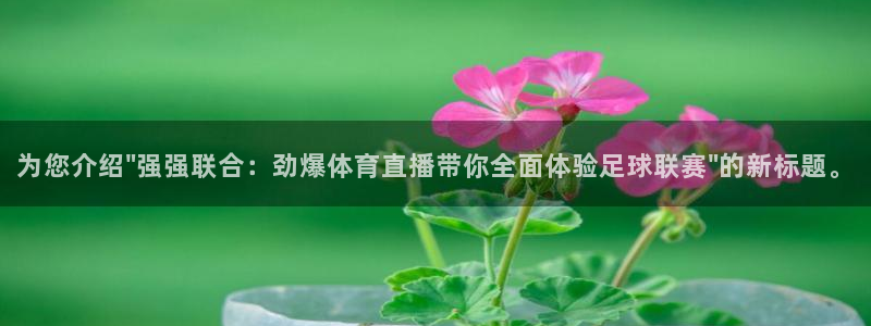 新闻图片
