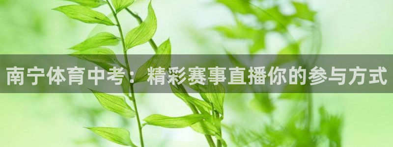 南宁体育中考：精彩赛事直播你的参与方式